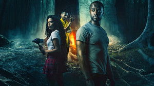 Лабиринт страха (2021)