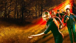 Библиотекари (2014)