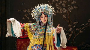 Зимняя бегония (2020)