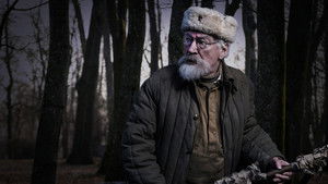 Дед Морозов (2020)