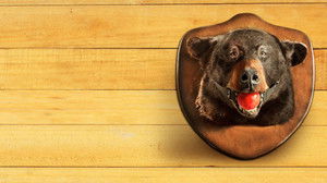 Гостевая Книга (2017)