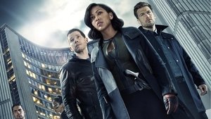 Особое мнение (2015)