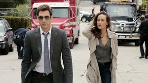 Сталкер (2014)