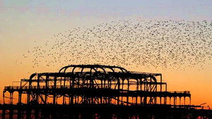 BBC: Суперстая (2009)