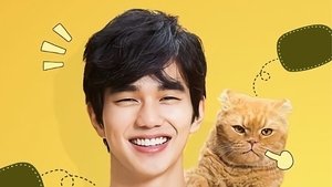 Воображаемая кошка (2015)