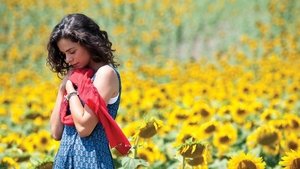 Красная косынка (2011)