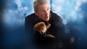 Хатико: Самый верный друг (2009)