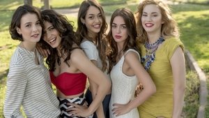 Милые обманщицы (2015)