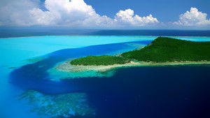 Из пепла (2003)