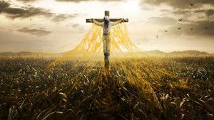 Спираль (2014)