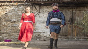 Зелёное море (2014)