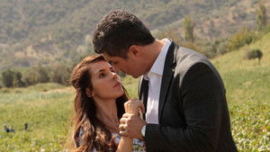 День, когда написана моя судьба (2014)