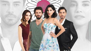 Любит не любит (2016)