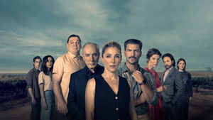 Оттенки (2025)