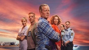 Детектив Дэн Соммердаль (2020)