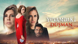 Враг в моем доме (2018)