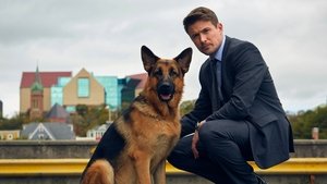 Хадсон и Рекс (2019)