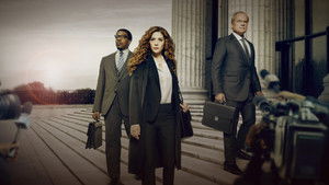 Доказанная невиновность (2019)