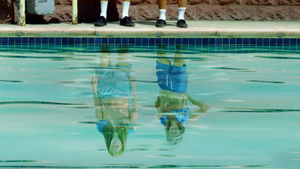 Водные ослы (2020)