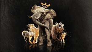 Королевы (2024)