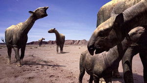 Четыре минуты (2006)