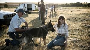 Поймай мне убийцу (2024)