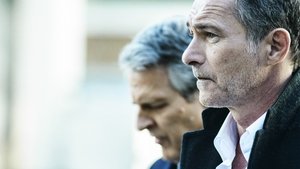 Серые кардиналы (2012)