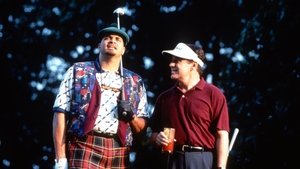 Гость дома (1995)