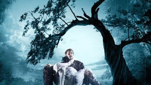 Грозовой перевал (2009)