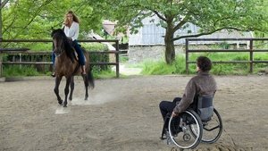 В равновесии (2015)