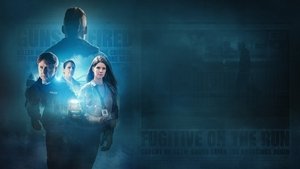 Дископат (2013)