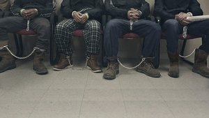 Страна иммигрантов (2020)