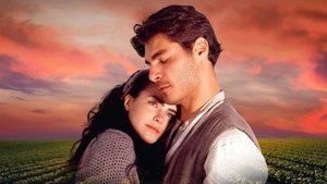 Земля любви (1999)