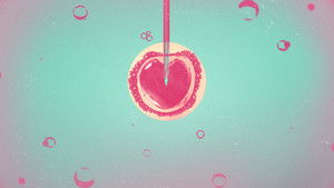 Ребенок от тебя (2022)