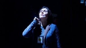 Последний пируэт (2015)