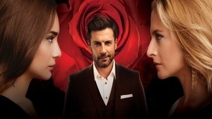 Война роз (2014)