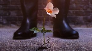 Человек в высоком замке (2015)