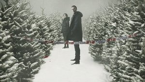 Вистинг (2019)