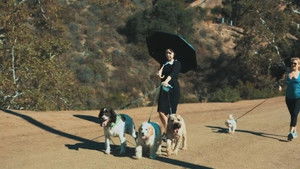 Взрослая Вэнсдэй Аддамс (2013)