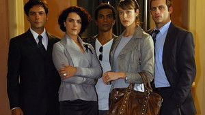 В форме закона (2010)