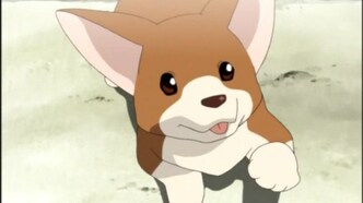 Сказочный мушкетёр Красная Шапочка (2005)