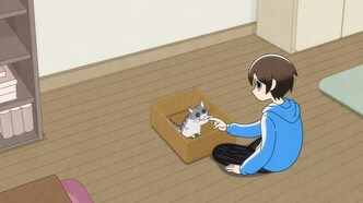 Вечера с котом (2022)