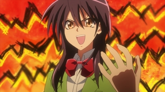 Президент — горничная! (2010)