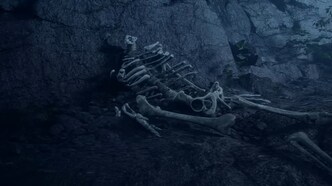 Записи о мастерах яо Тигре и Журавле (2024)