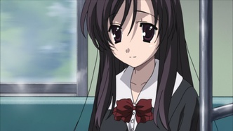 Школьные дни (2007)