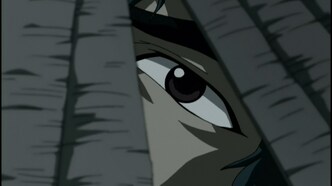 Манускрипт ниндзя: Новая глава (2003)