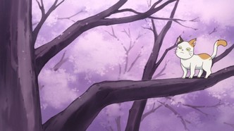 Хорошенькое лекарство: Девочки-волшебницы (2016)