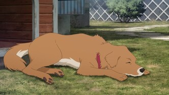 Хороший мальчик Гонта: История жизни пострадавшей в Фукусиме собаки с двумя именами (2022)