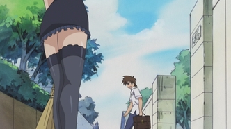 Мабурахо (2003)