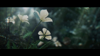 Сводки бюро расследований (2020)